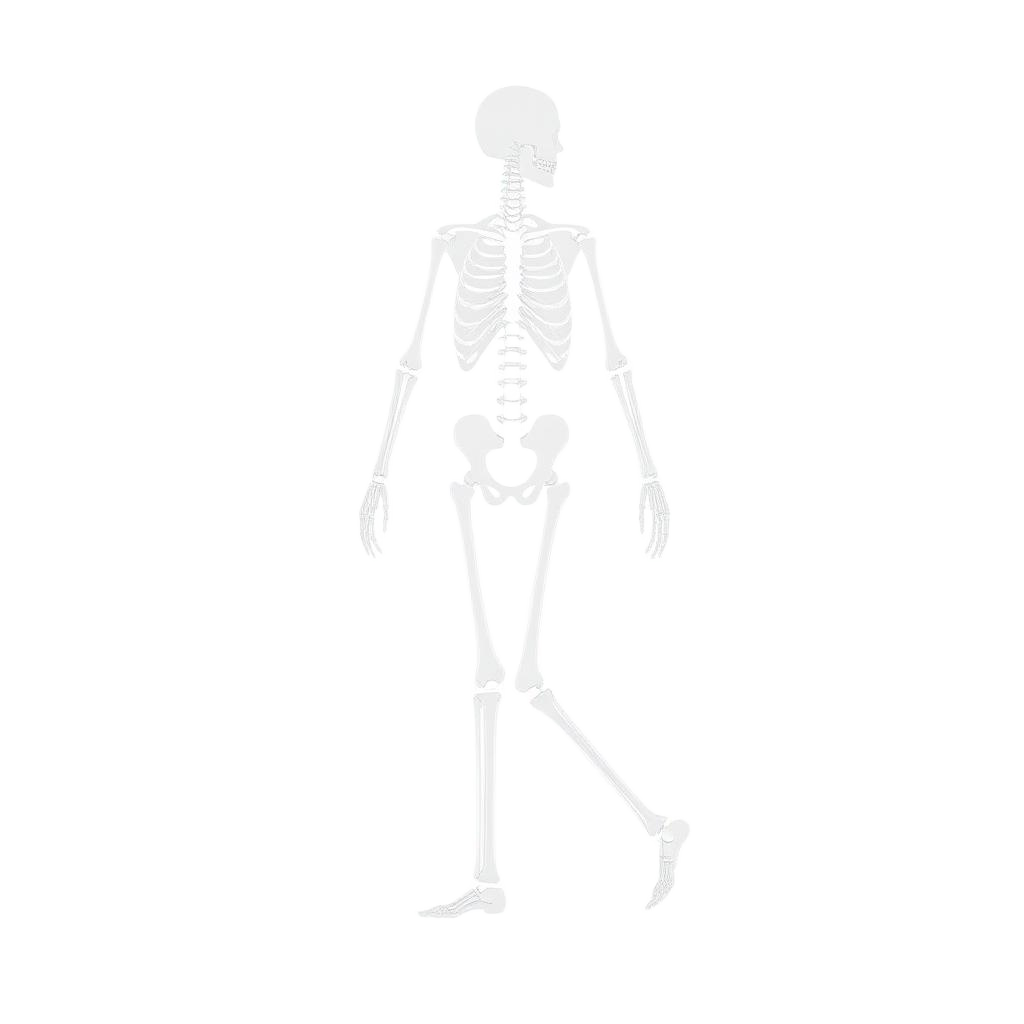 Skeletal pose tracking diagram